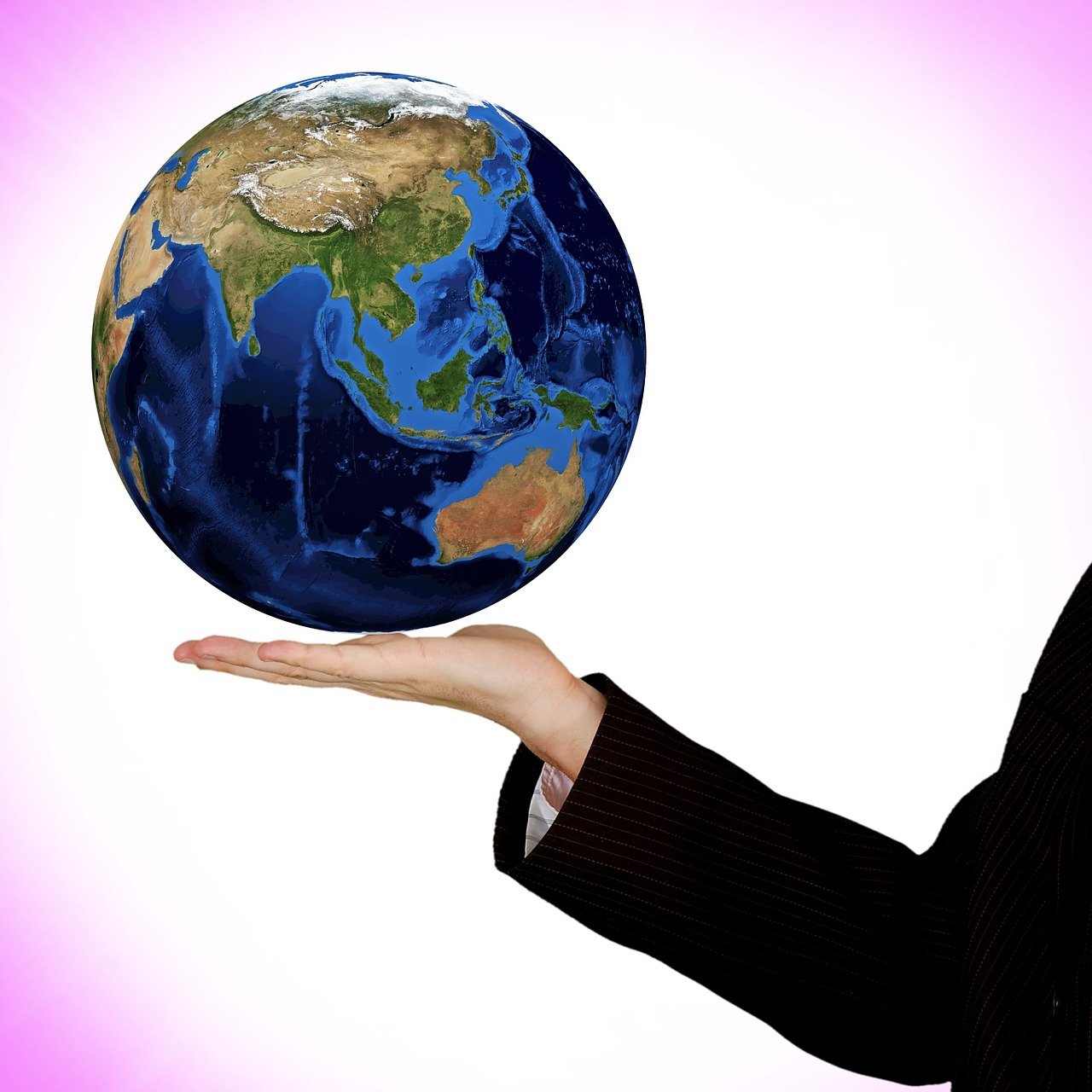 黄瓜产业创新与发展,最新资讯探索