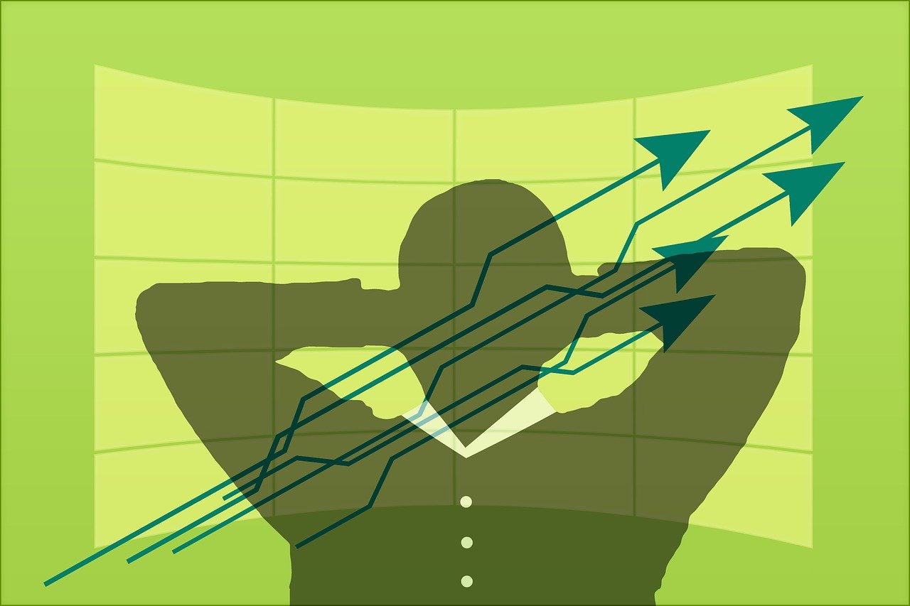 惠兰花价格揭秘,市场行情与趋势分析