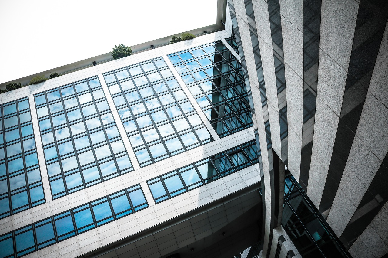 养羊行业领军上市公司,成功之路与未来展望