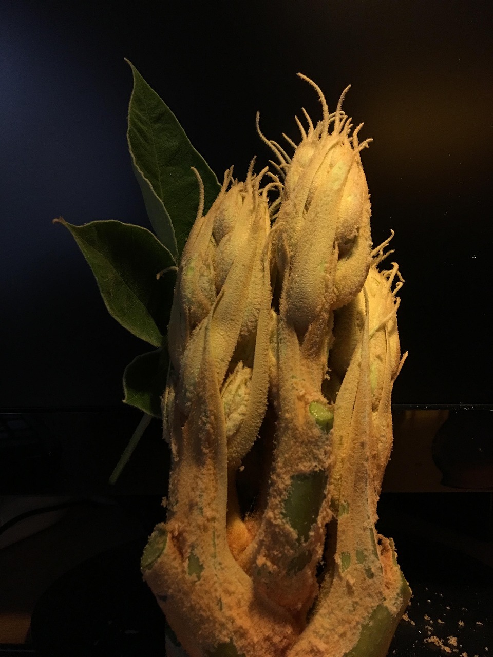 Rion新动态,科技革新与绿色理念的引领者