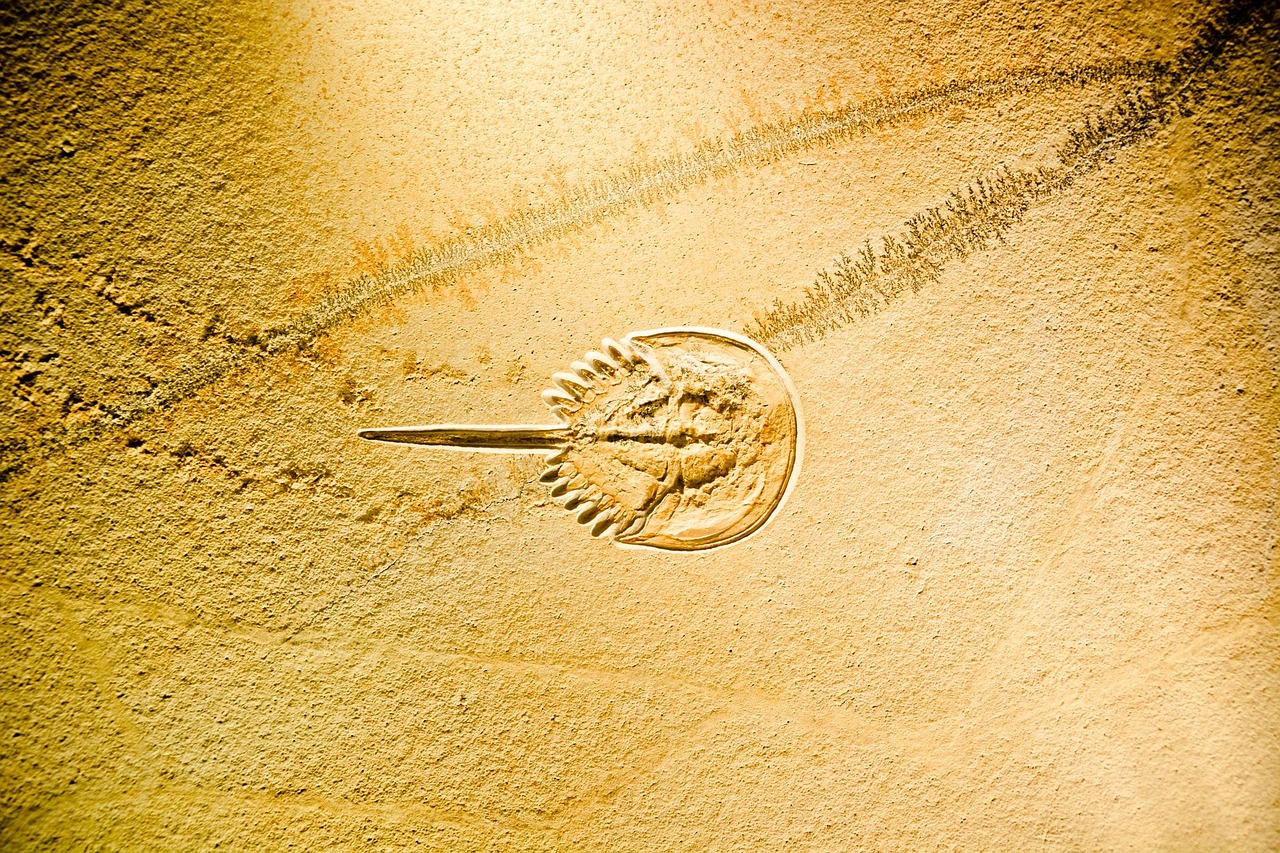 荆门市干部最新任命动态,新时代领导力的展现