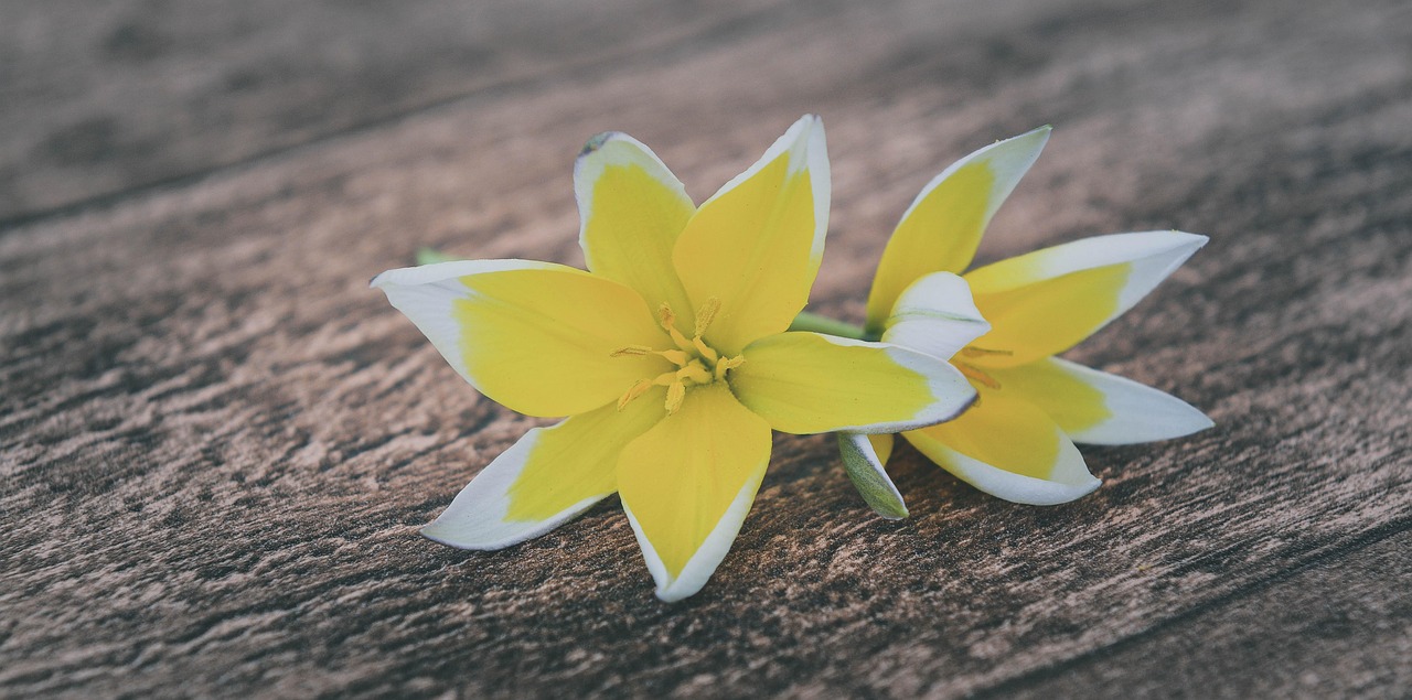 宝鸡三千城最新资讯概览,最新动态一网打尽