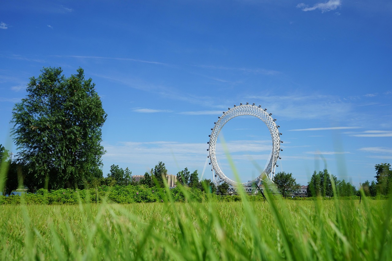上海机场联络线最新动态,构建高效交通枢纽,开启新篇章