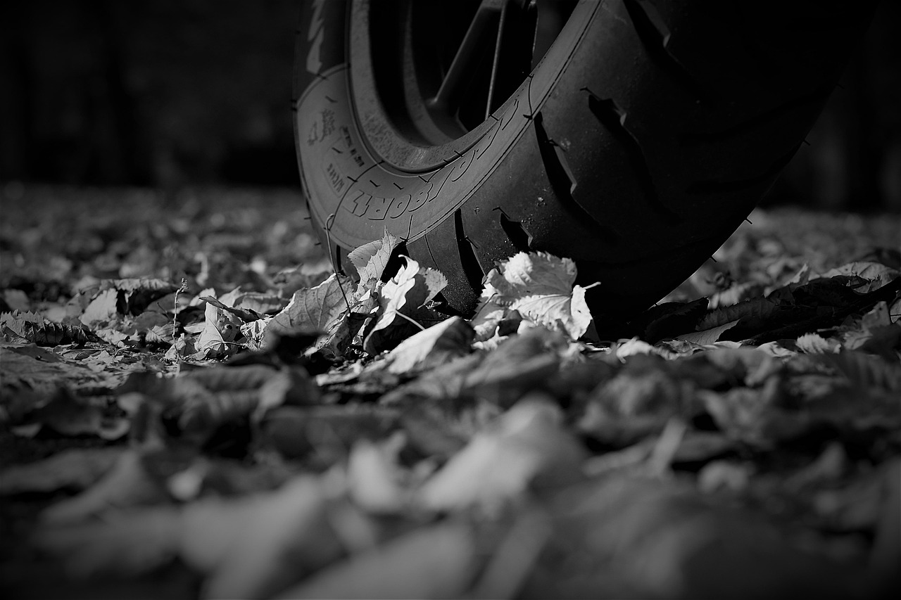 宝马310GS最新动态,卓越表现与创新突破