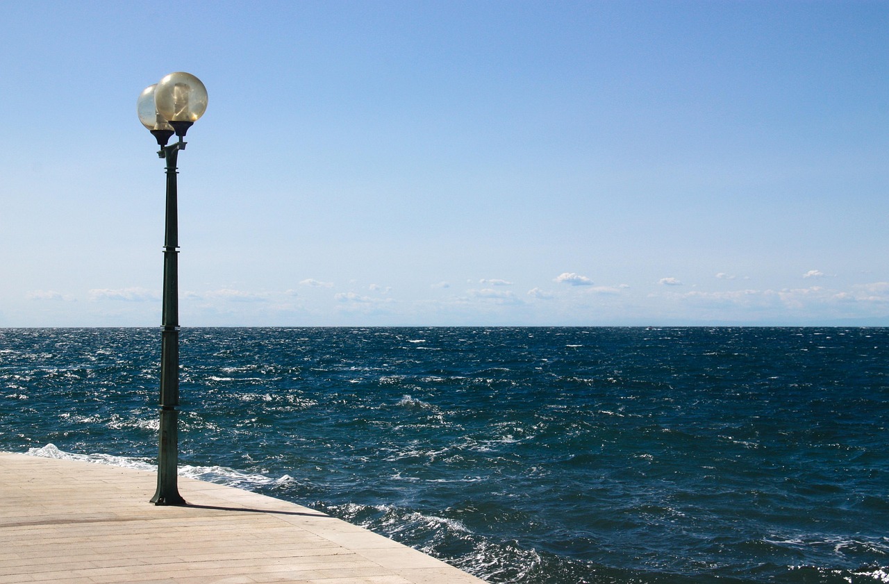 东莞常平最新资讯概览,掌握最新动态与资讯更新