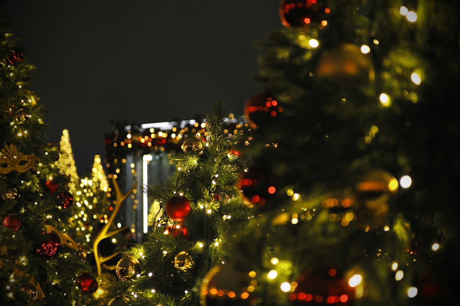 程诗最新动态,探索艺术之旅的无限可能