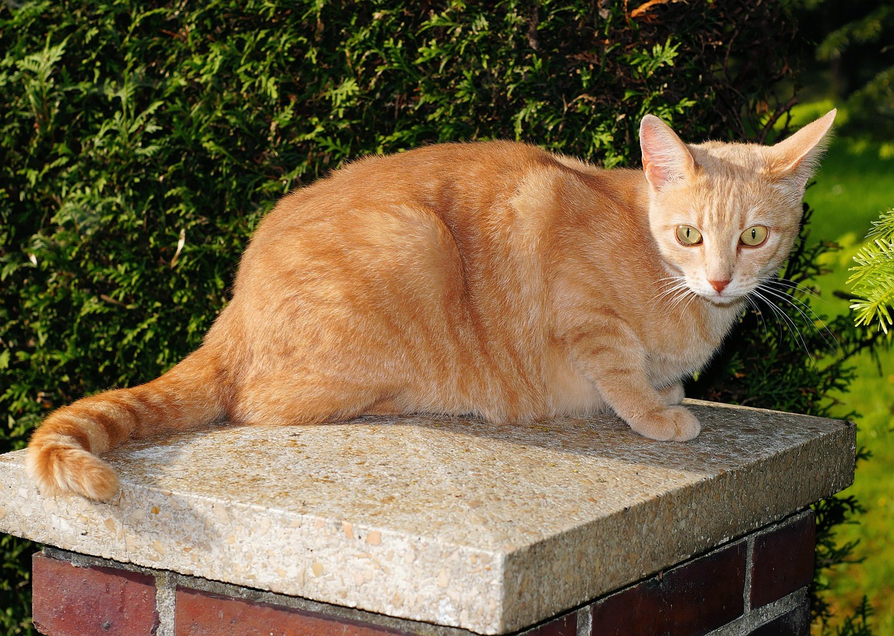 2025年10月17日 第13页