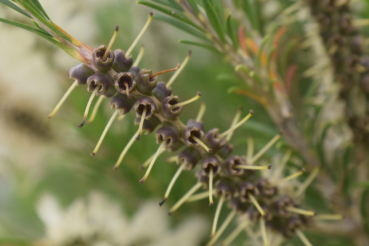 黑龙江煤矿迈向智能化绿色化新征程的最新动态