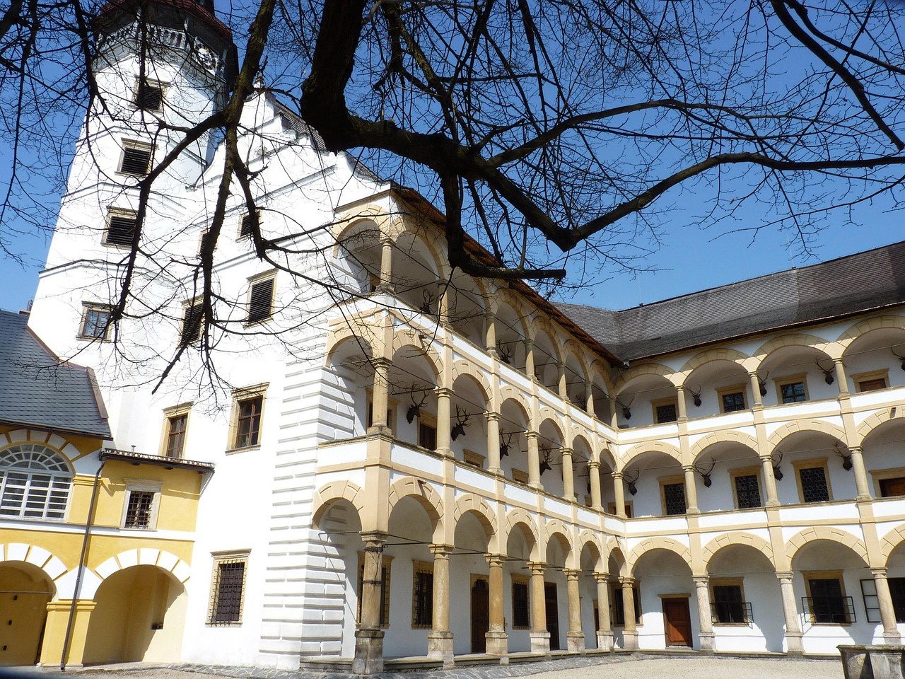 猫娘动漫头像,从二次元魅力扩散至现实生活的吸引力