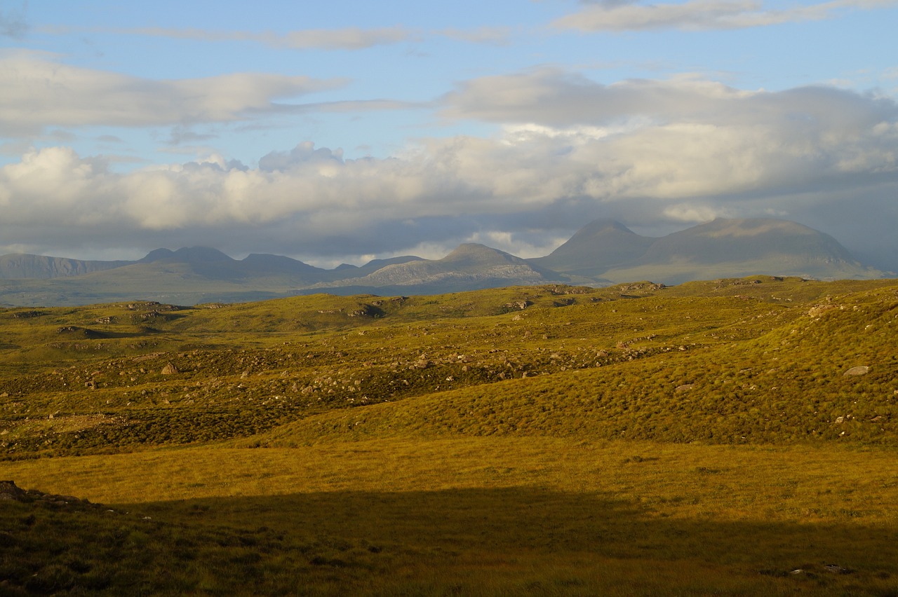 许晴最新动态,光芒四射,照亮娱乐圈每一寸土地