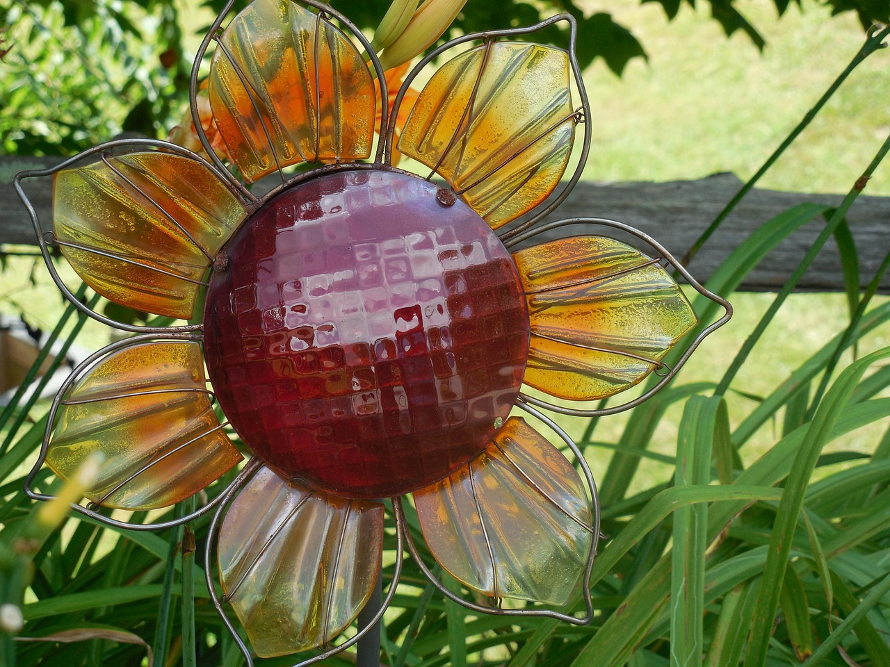 向日葵与股票,金融与自然的交融魅力探索