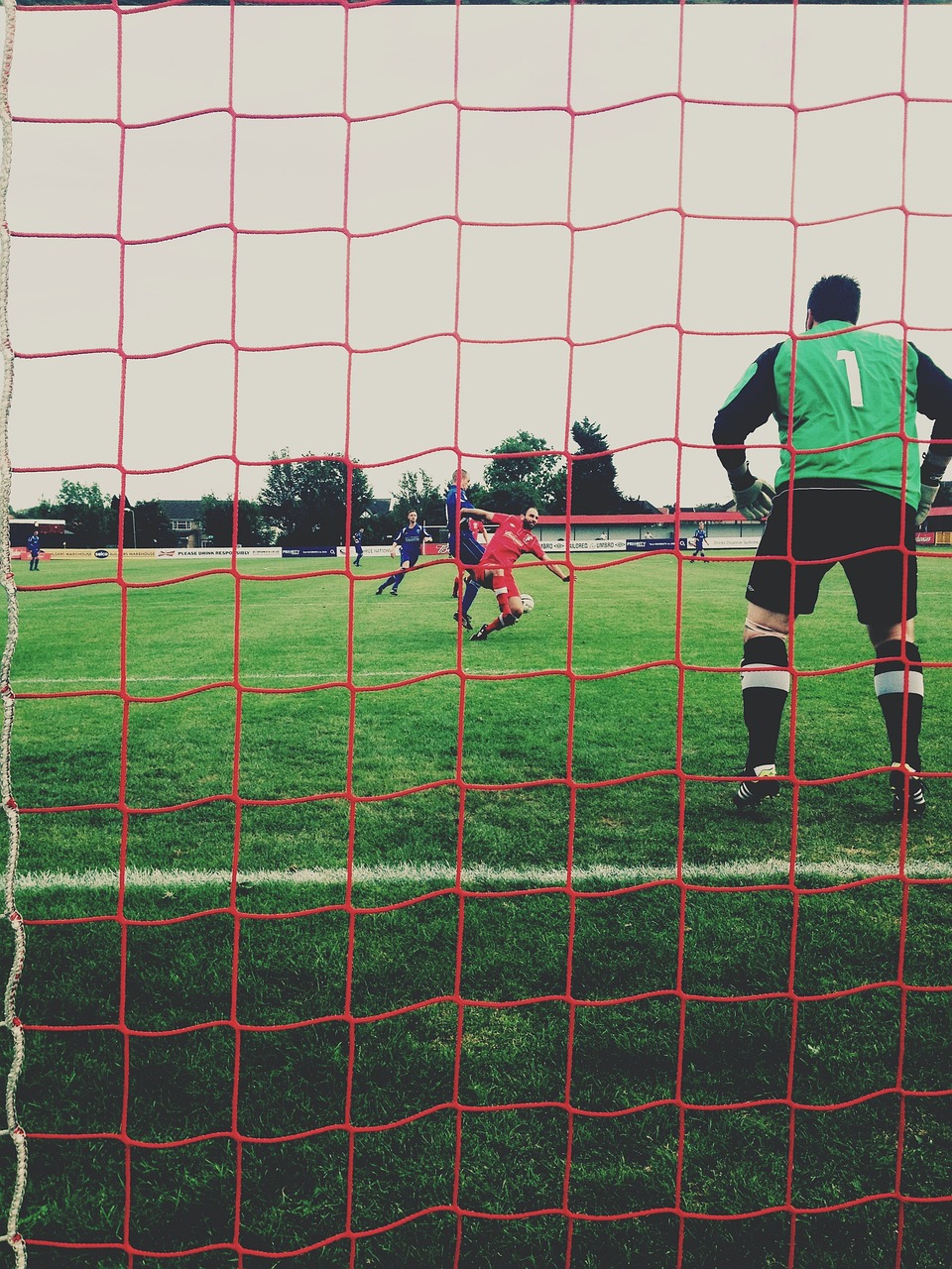 孤狼队动态,突破与挑战并存的队伍进展与动态更新