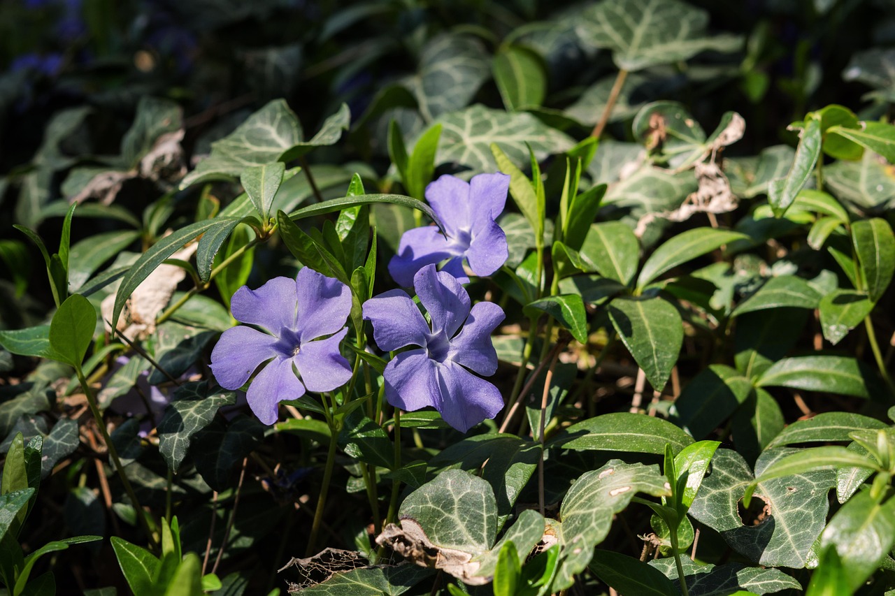 南京城市新动态,焕发勃勃生机与活力