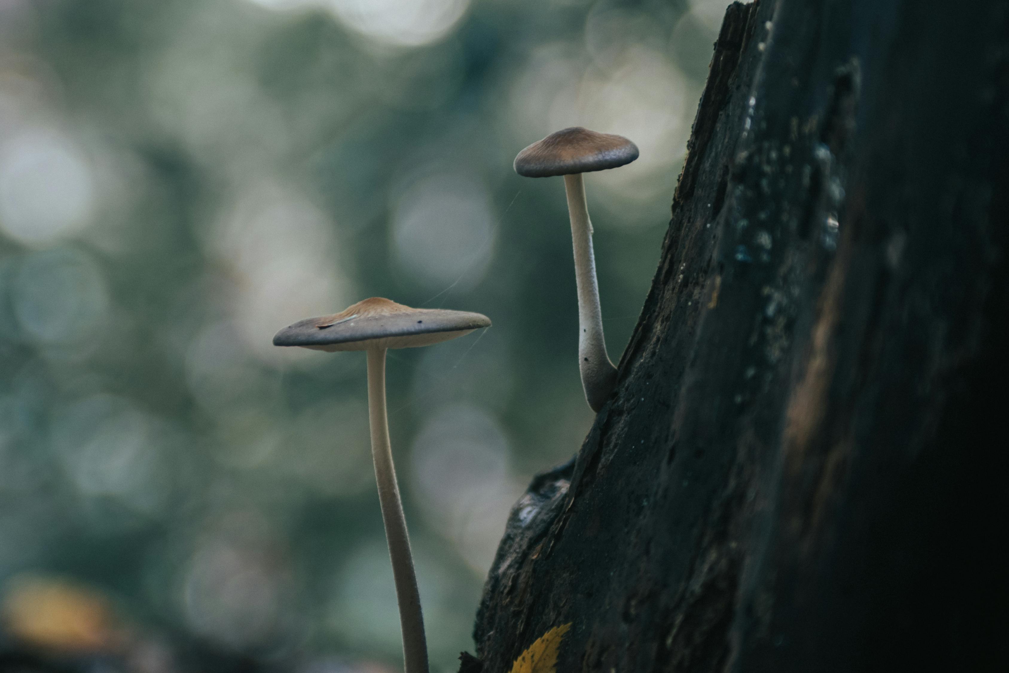 南京城市新动态,焕发勃勃生机与活力