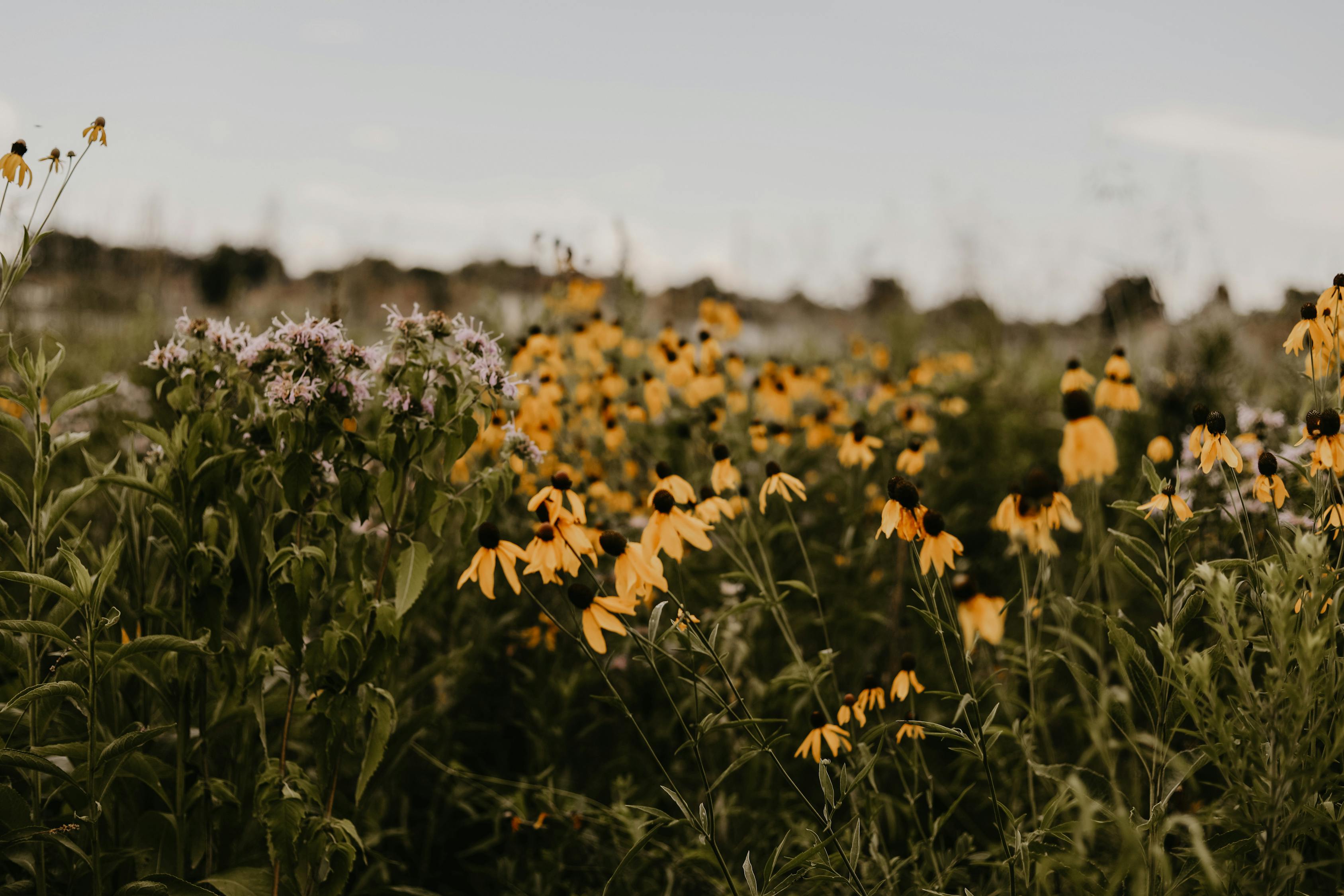 张家界新盘推荐,自然美景与舒适生活的完美融合