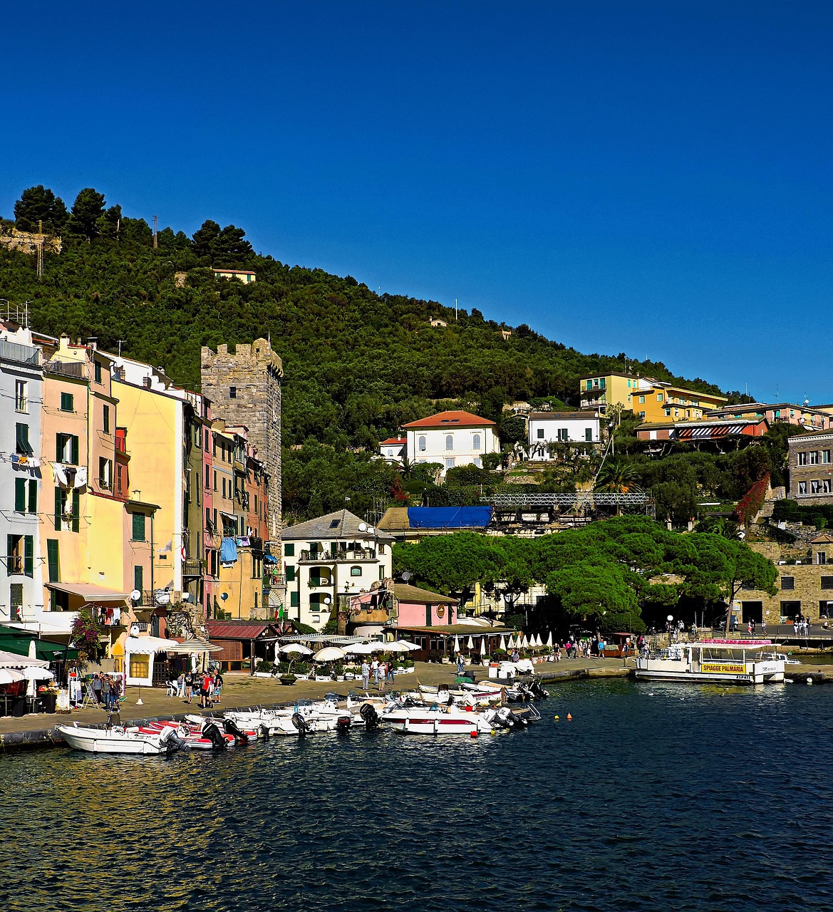 海雷新动态揭秘,前沿科技的无穷潜力探索