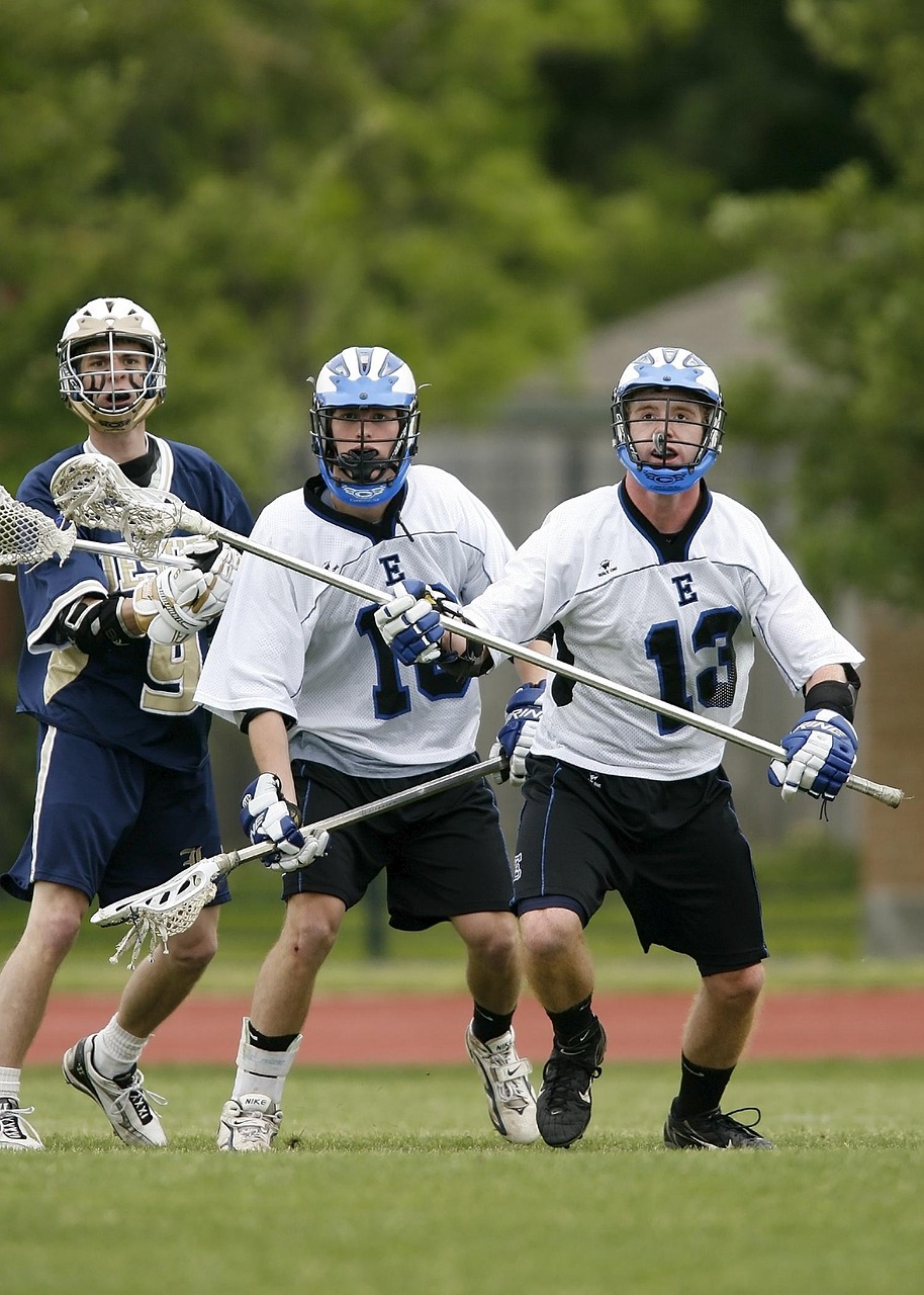 猩猩资讯,探索最新动态与保护进展