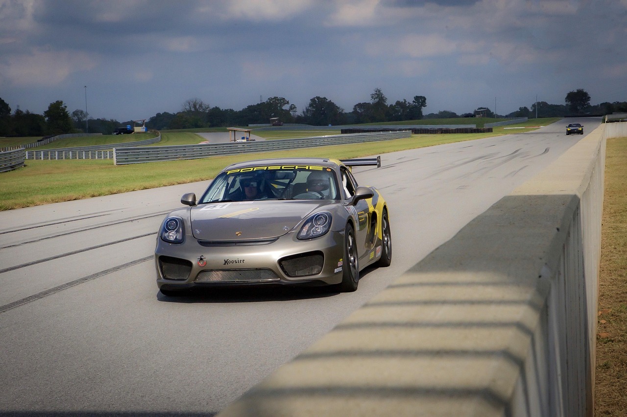 猩猩资讯,探索最新动态与保护进展