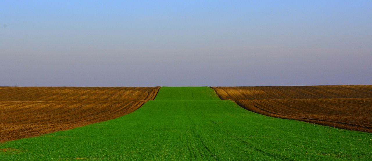 新宁公路规划更新,迈向高效、绿色、智能的未来之路之旅