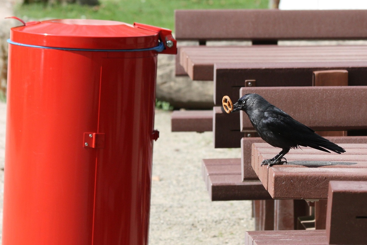 王冲智慧塔最新动态,引领科技革新与智慧城市建设风潮