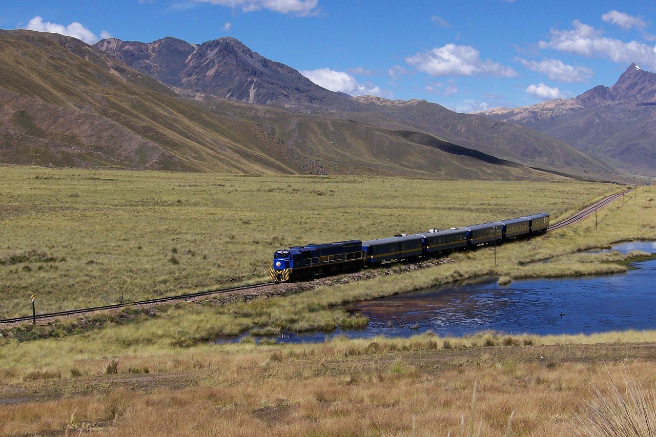 平顶山闪庄动态更新,新时代乡村变革与发展的探寻之路
