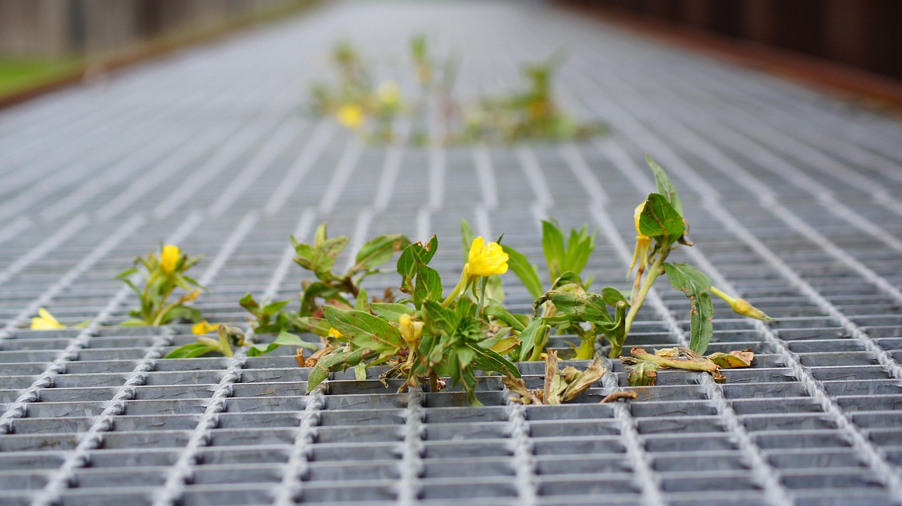 煤炭行业转型进行时,绿色发展与技术创新并行的新动态