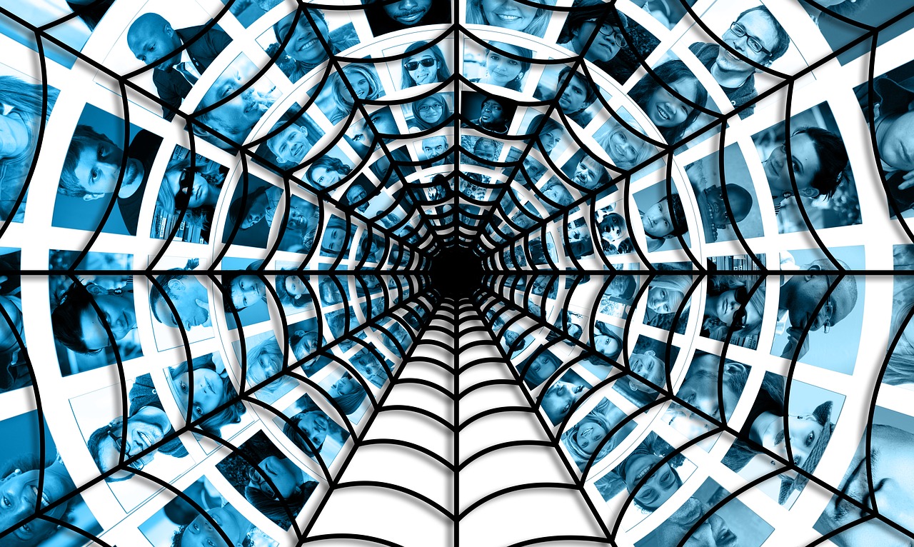 探索蜘蛛世界的新奥秘与最新进展动态