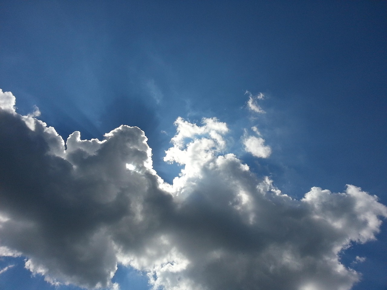 安化华莱健黑茶最新动态与资讯