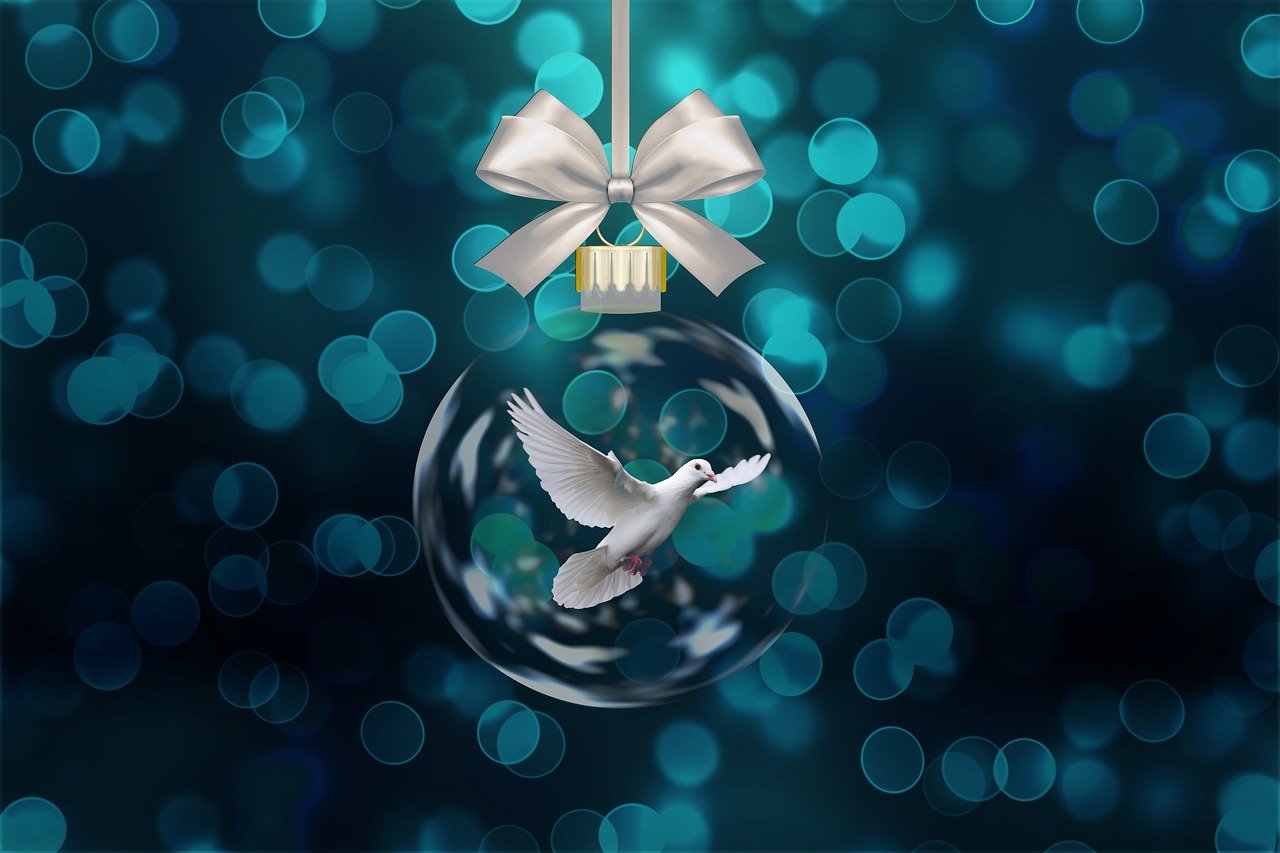 二次元明星,虚拟世界的魅力之星