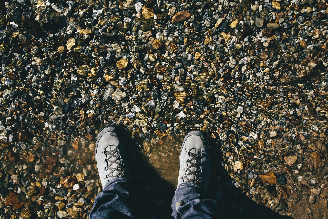 衡水永裕盛景动态资讯,城市发展的脉搏与永裕盛景的角色探索