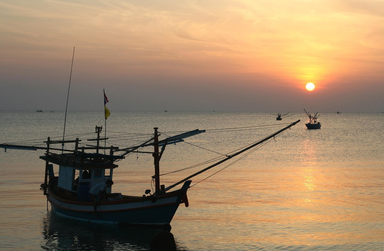 大连港股票投资潜力与市场前景深度解析