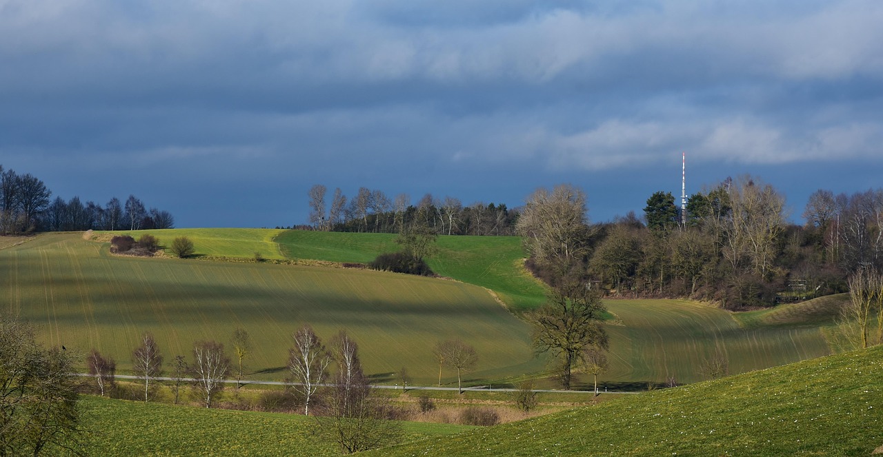 佛山土地拍卖最新动态,市场走势、政策影响及未来展望分析