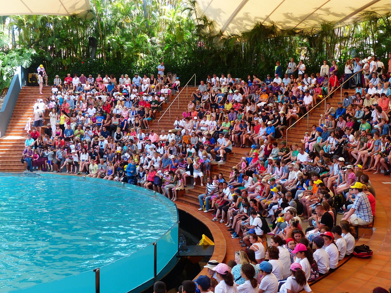 比赛360,全方位展现竞技风采