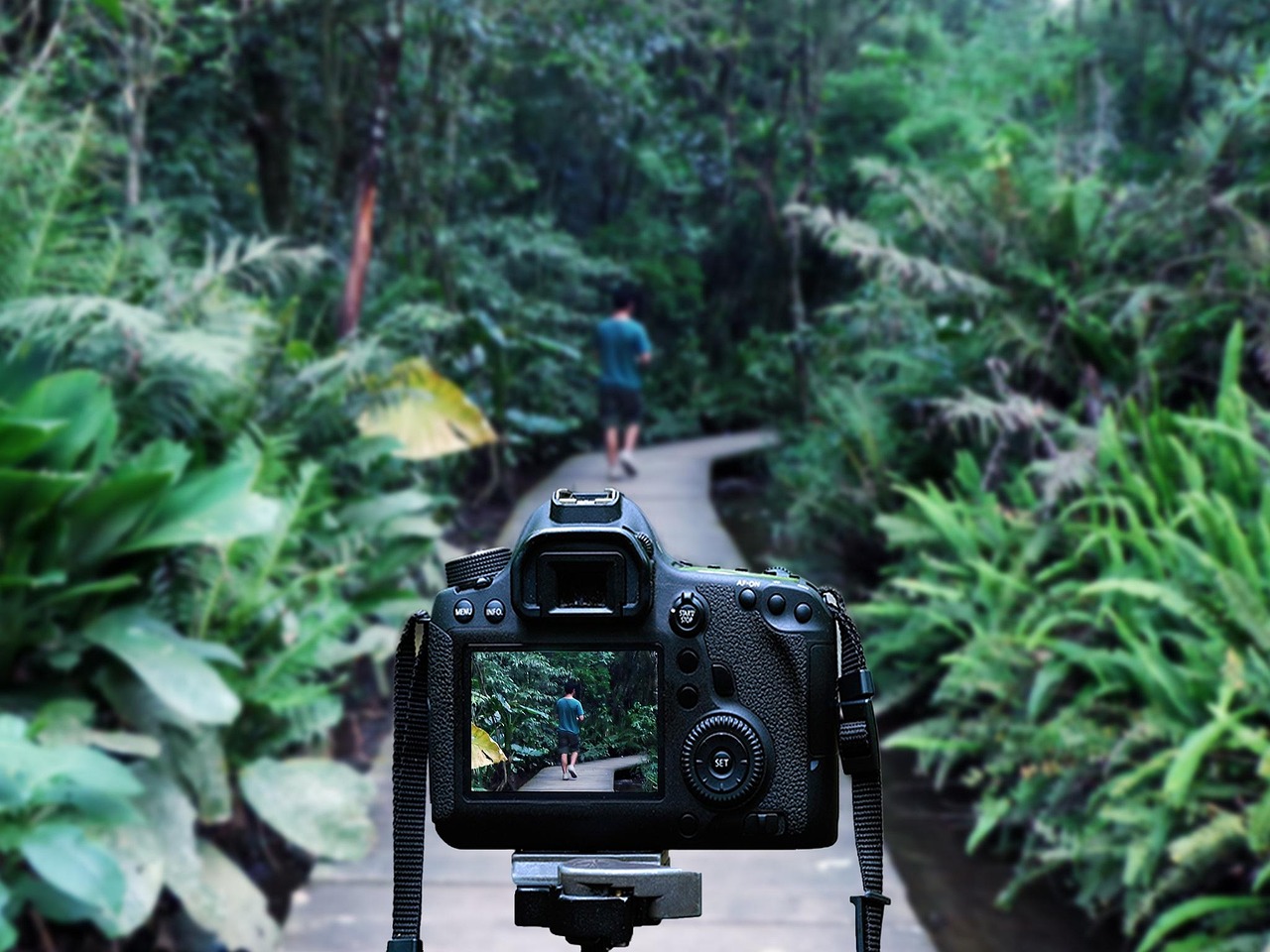 杨坤音乐之旅新篇章，最新动态揭秘
