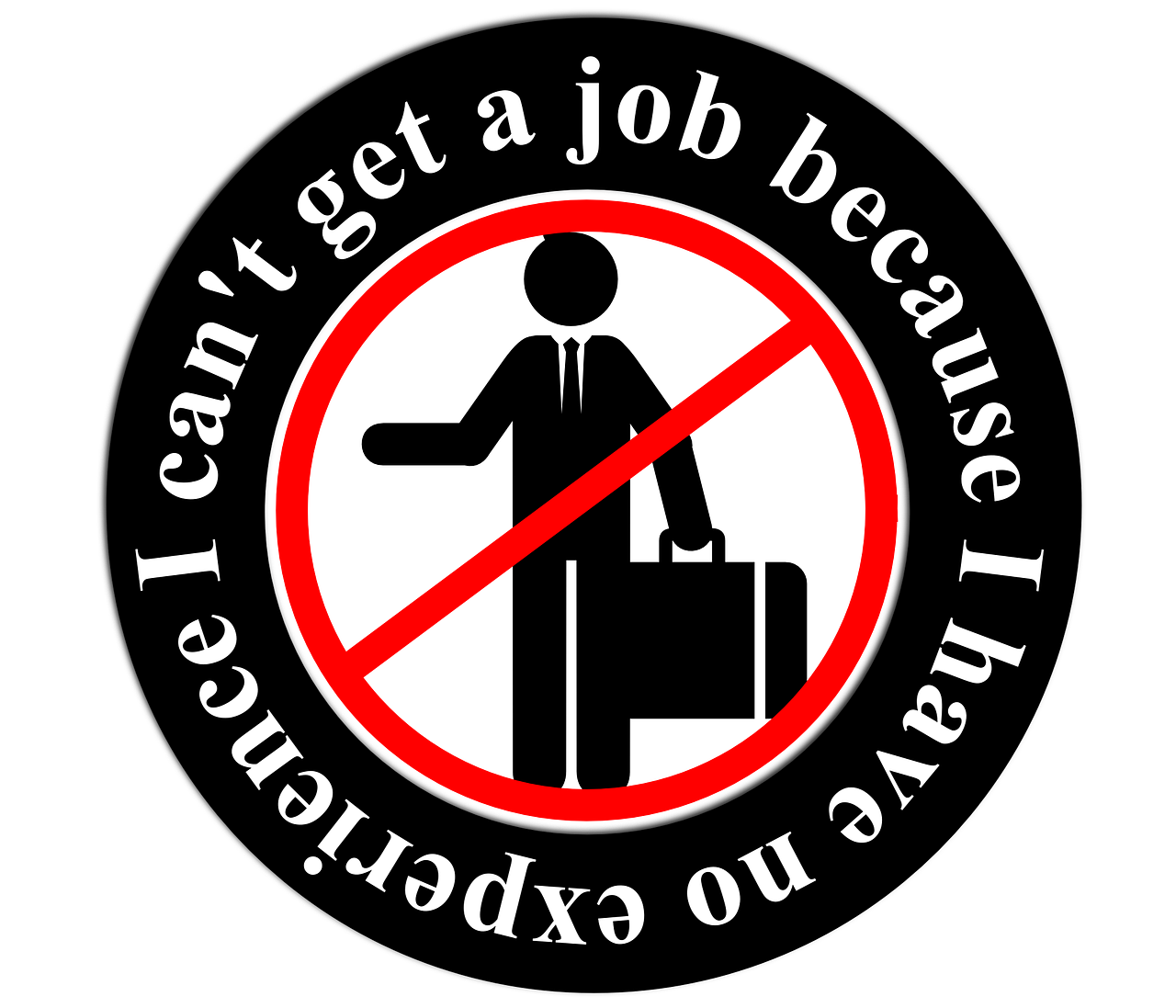 青岛最新招聘信息概览,最新职位与招聘动态更新