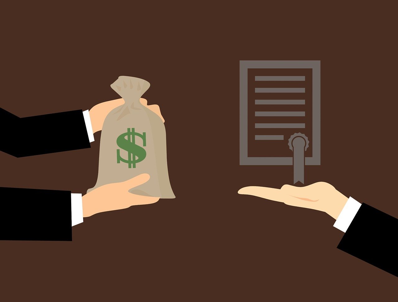 印度遭遇蝗虫灾害,挑战与应对策略