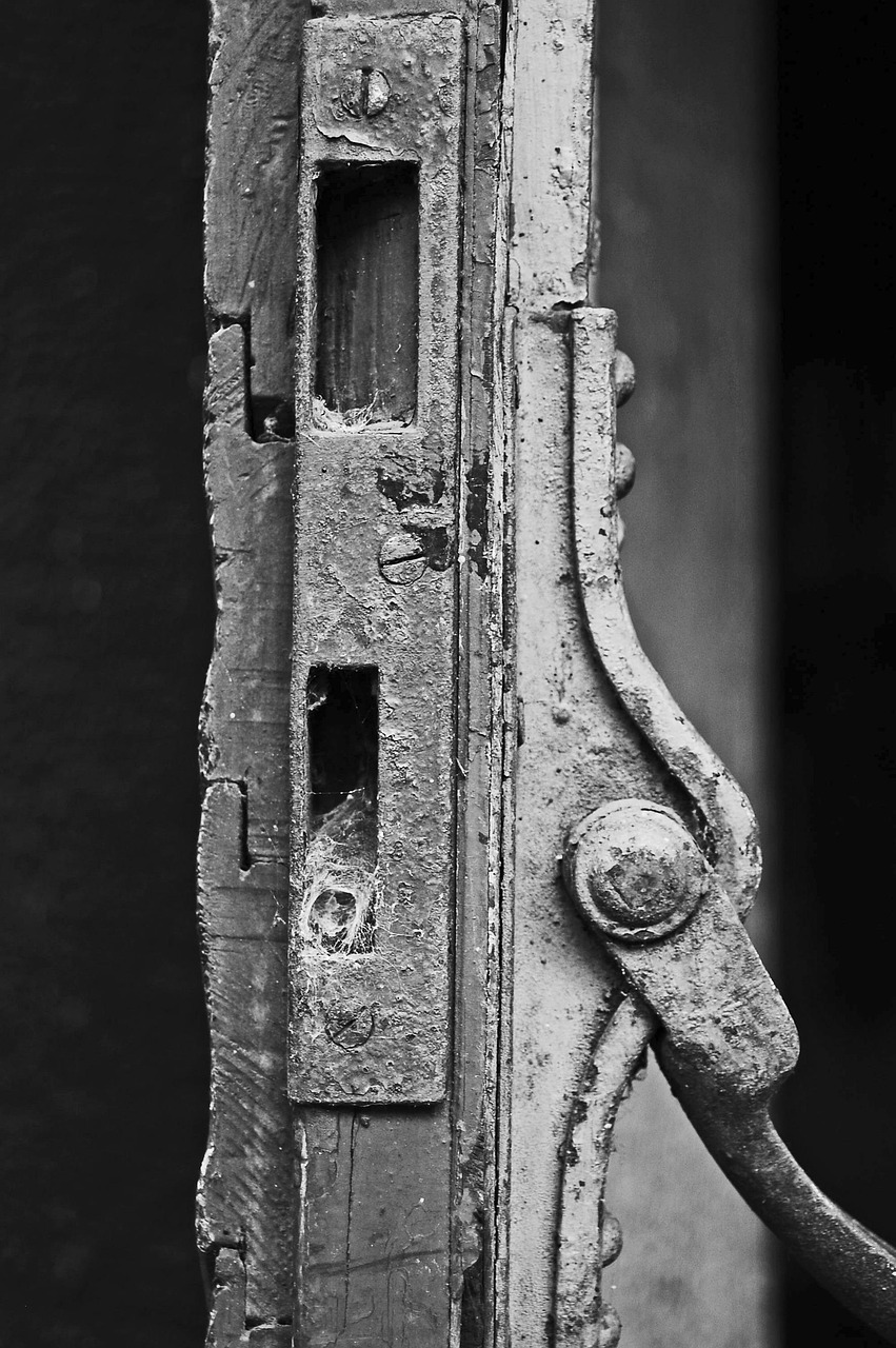 微信最新动态与事件,数字时代浪潮之巅的探索