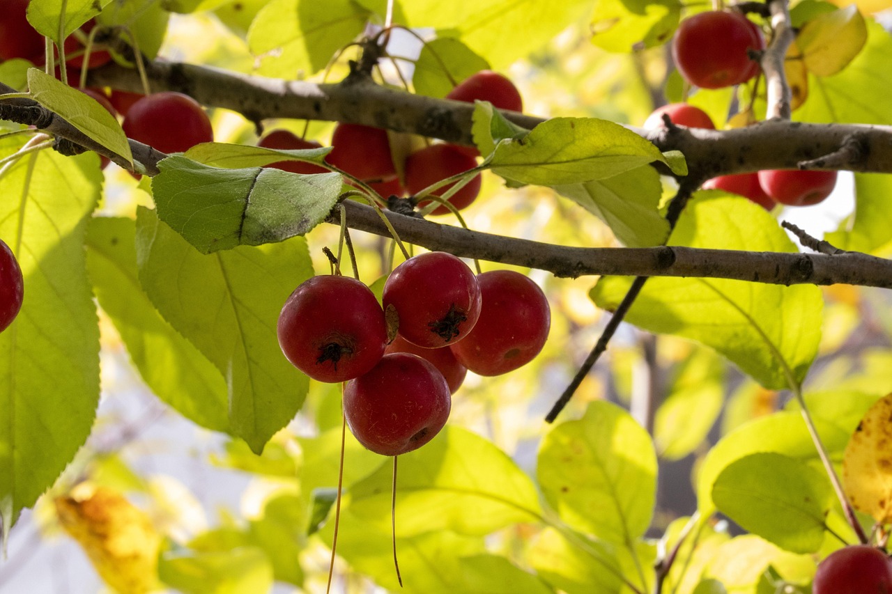 欧美最新资讯概览,掌握最新欧美动态