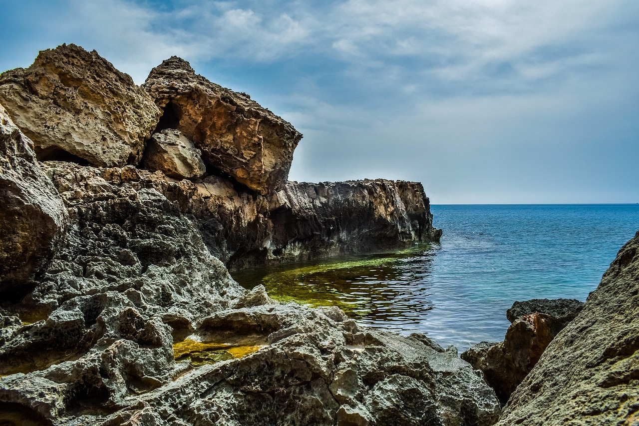 莴笋批发价格行情分析与最新动态