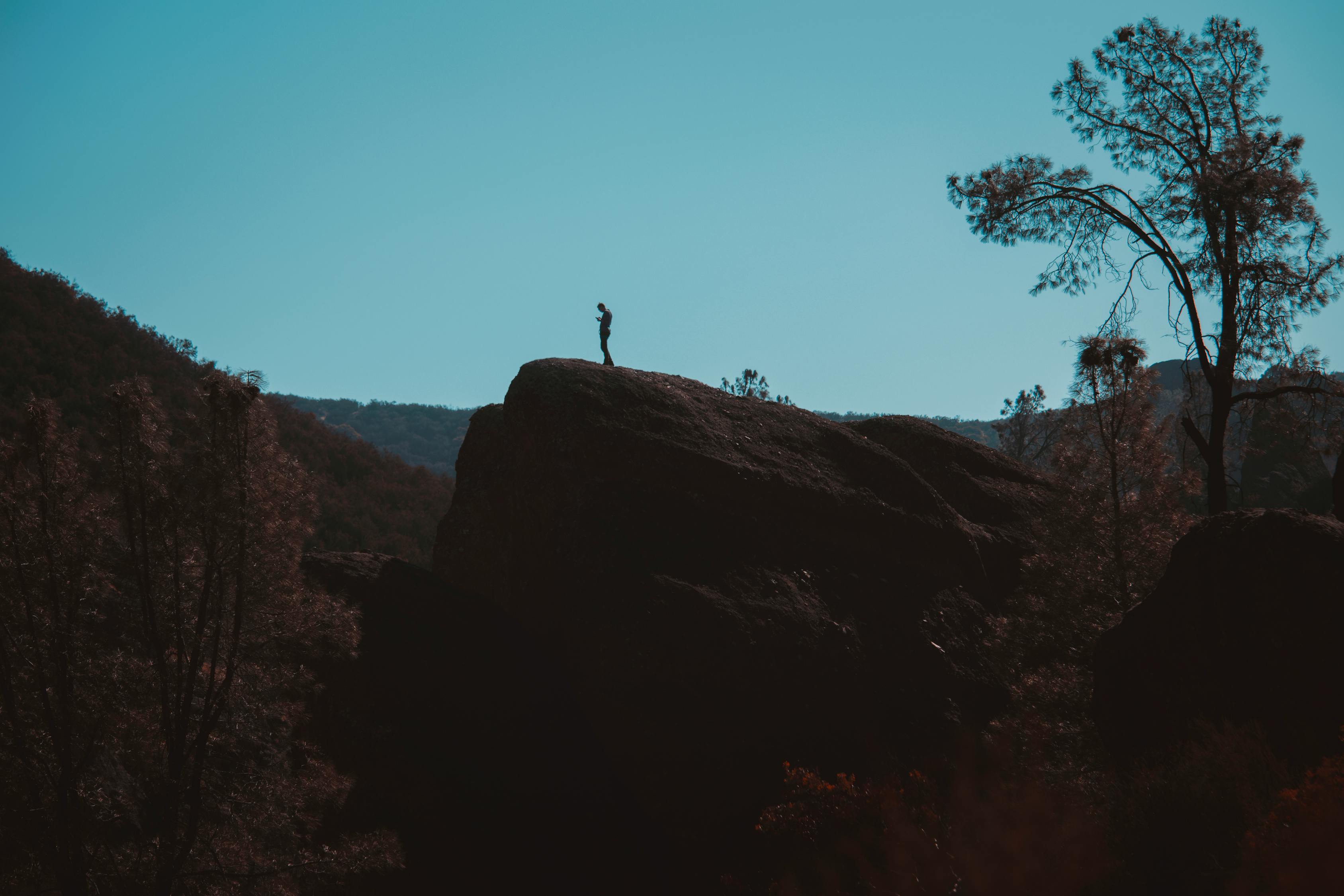 庐山游，探寻自然之美与文化底蕴之旅