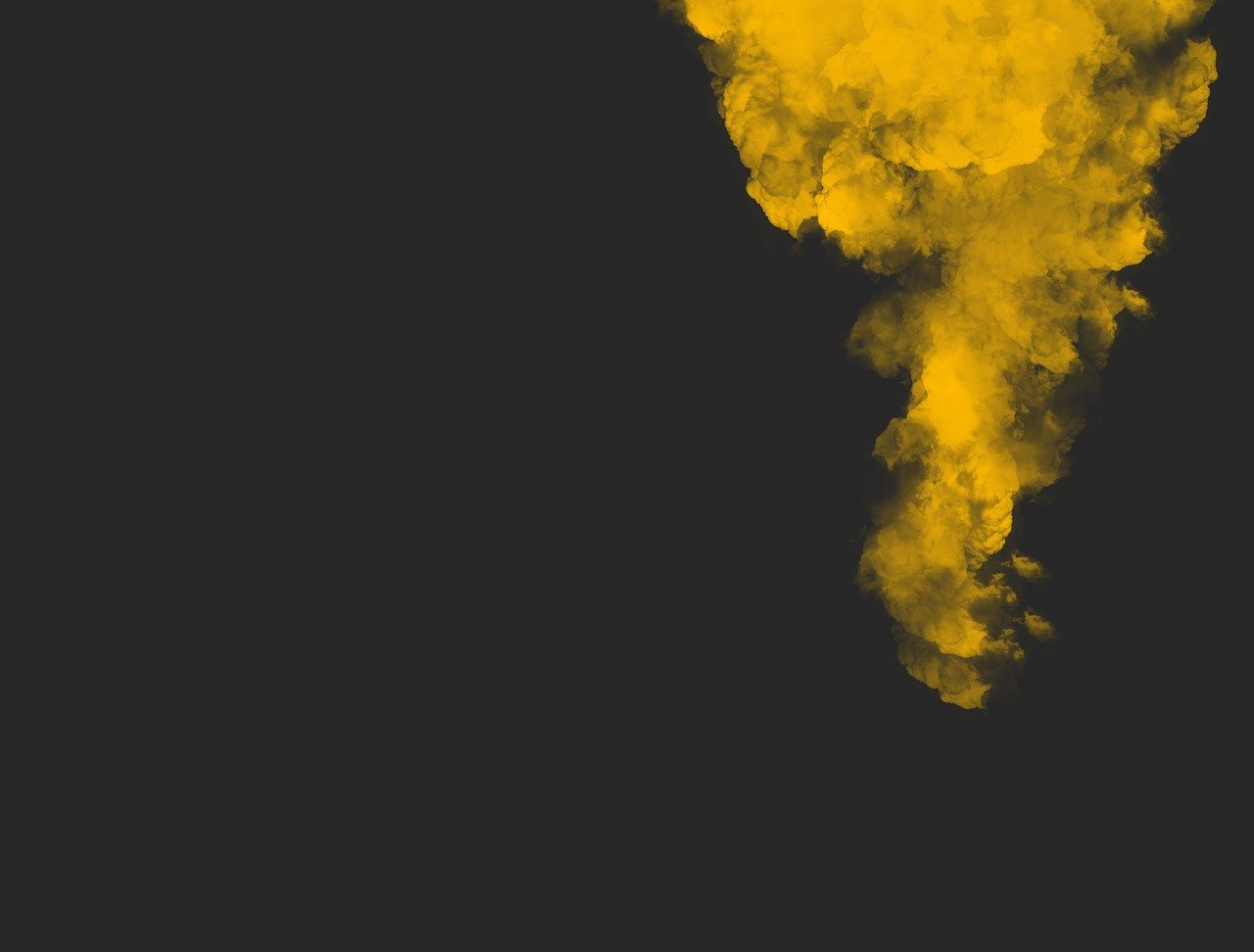 烟花绽放新篇章,最新消息一网打尽