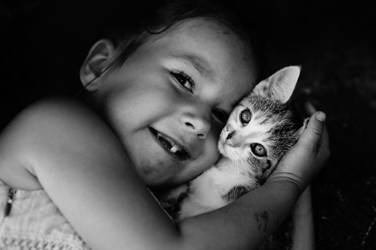 老鼠爱上猫演员表及幕后故事揭秘