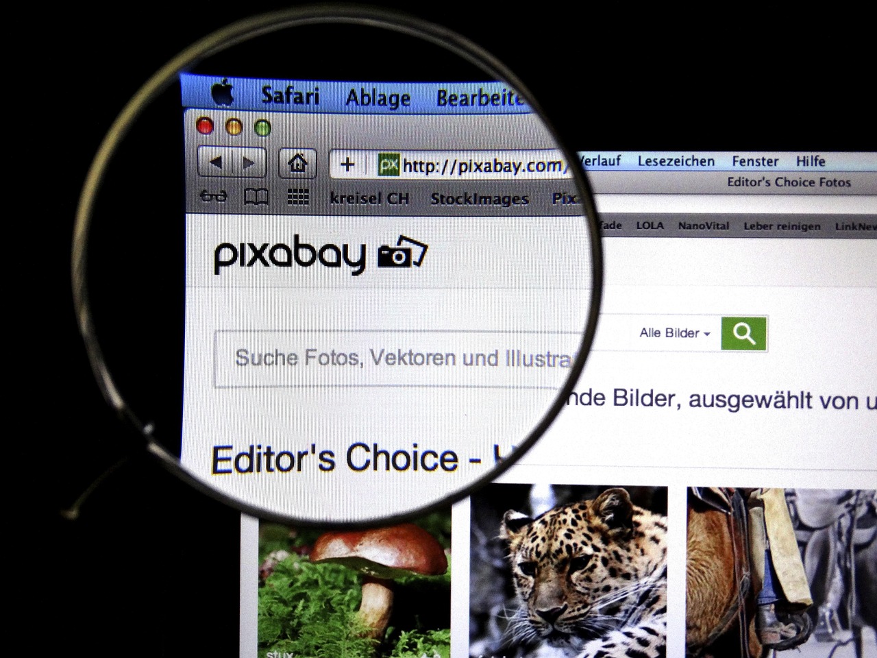 中央电视台频道的多元化传播魅力与影响力