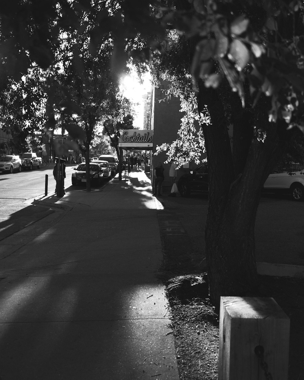 最新野战图片精选,展现现代战争的独特魅力