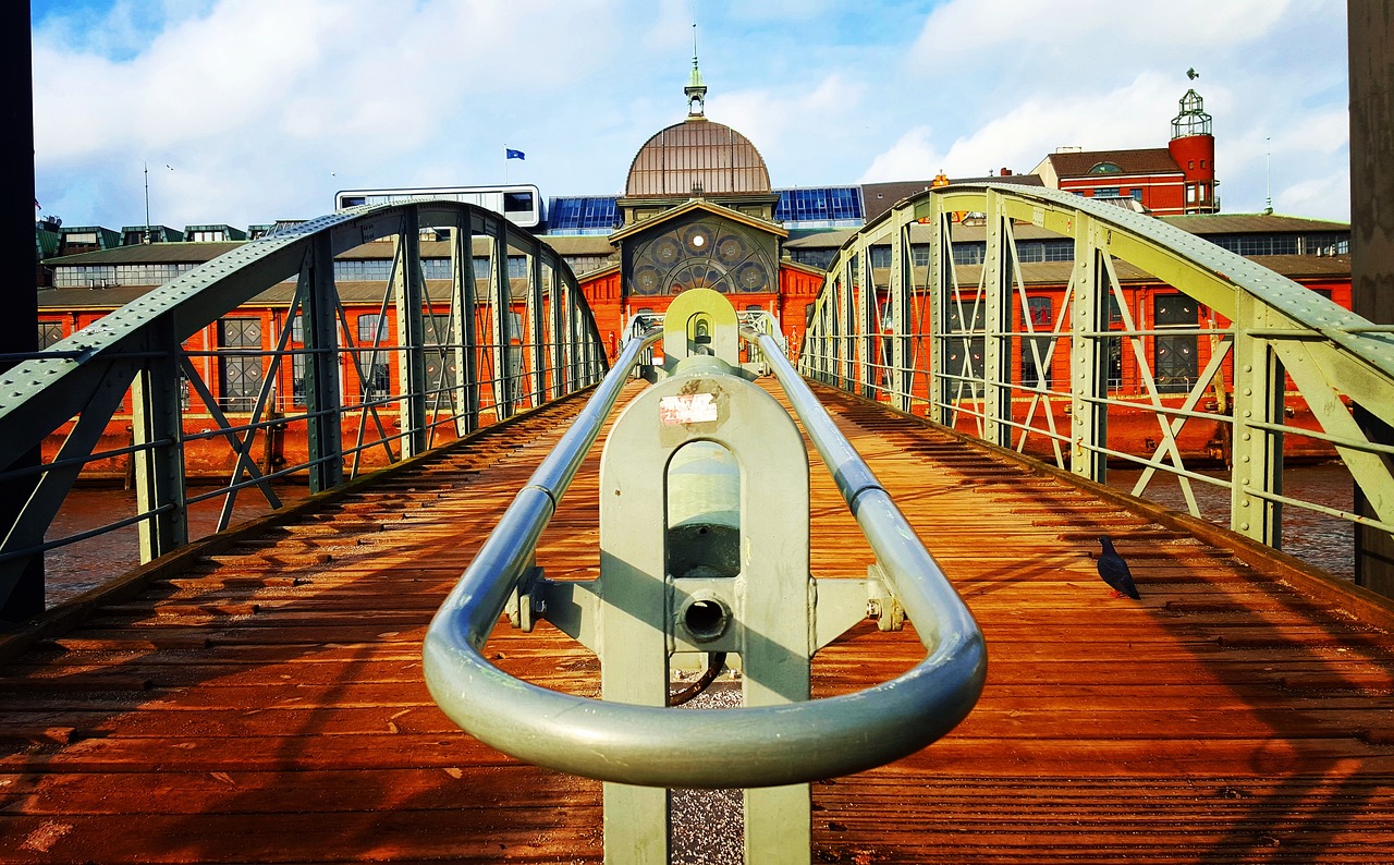 探索动漫世界,在线观看口工动漫的魅力