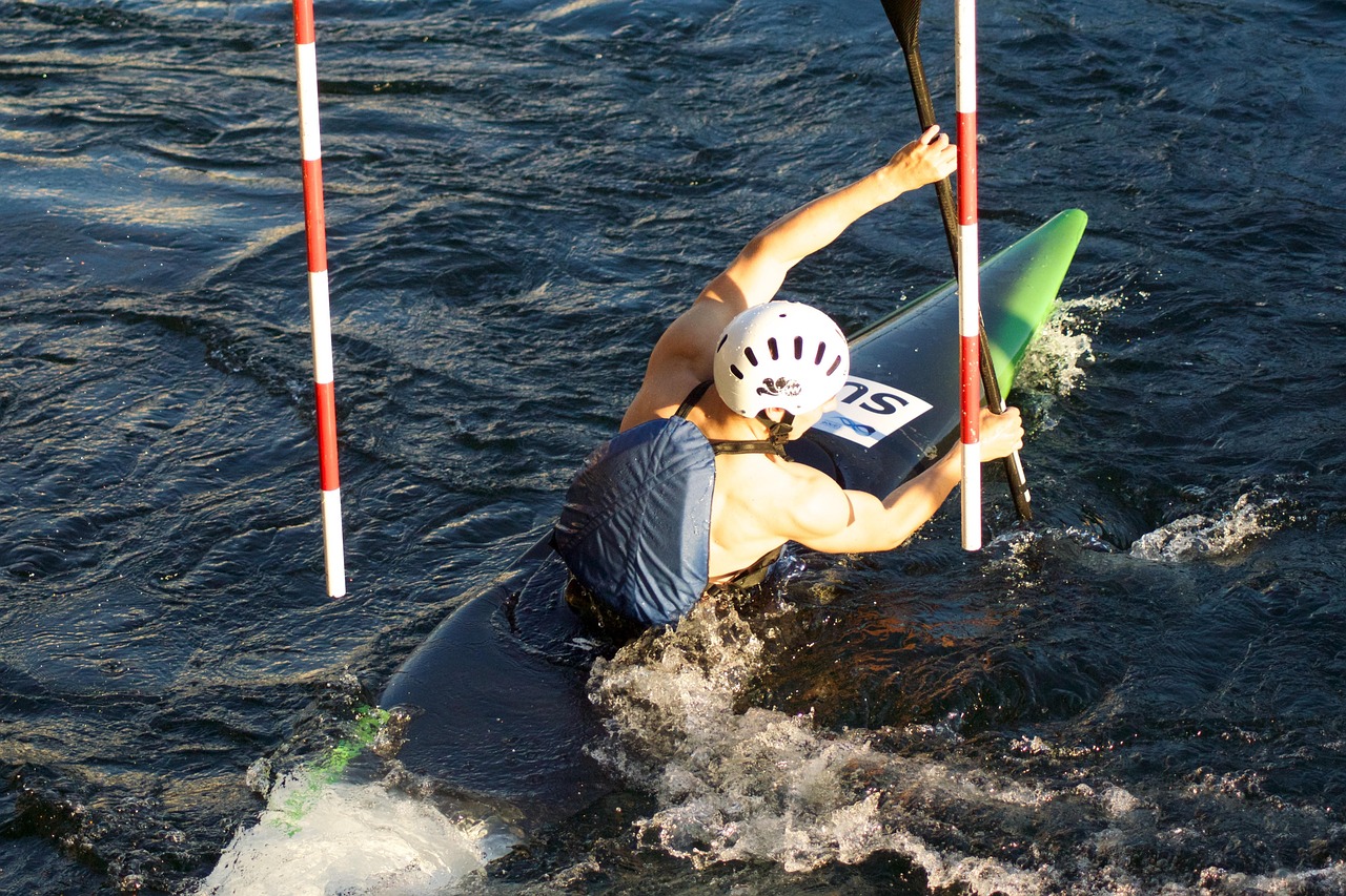 迷宫饭最新动态及深度解析报道