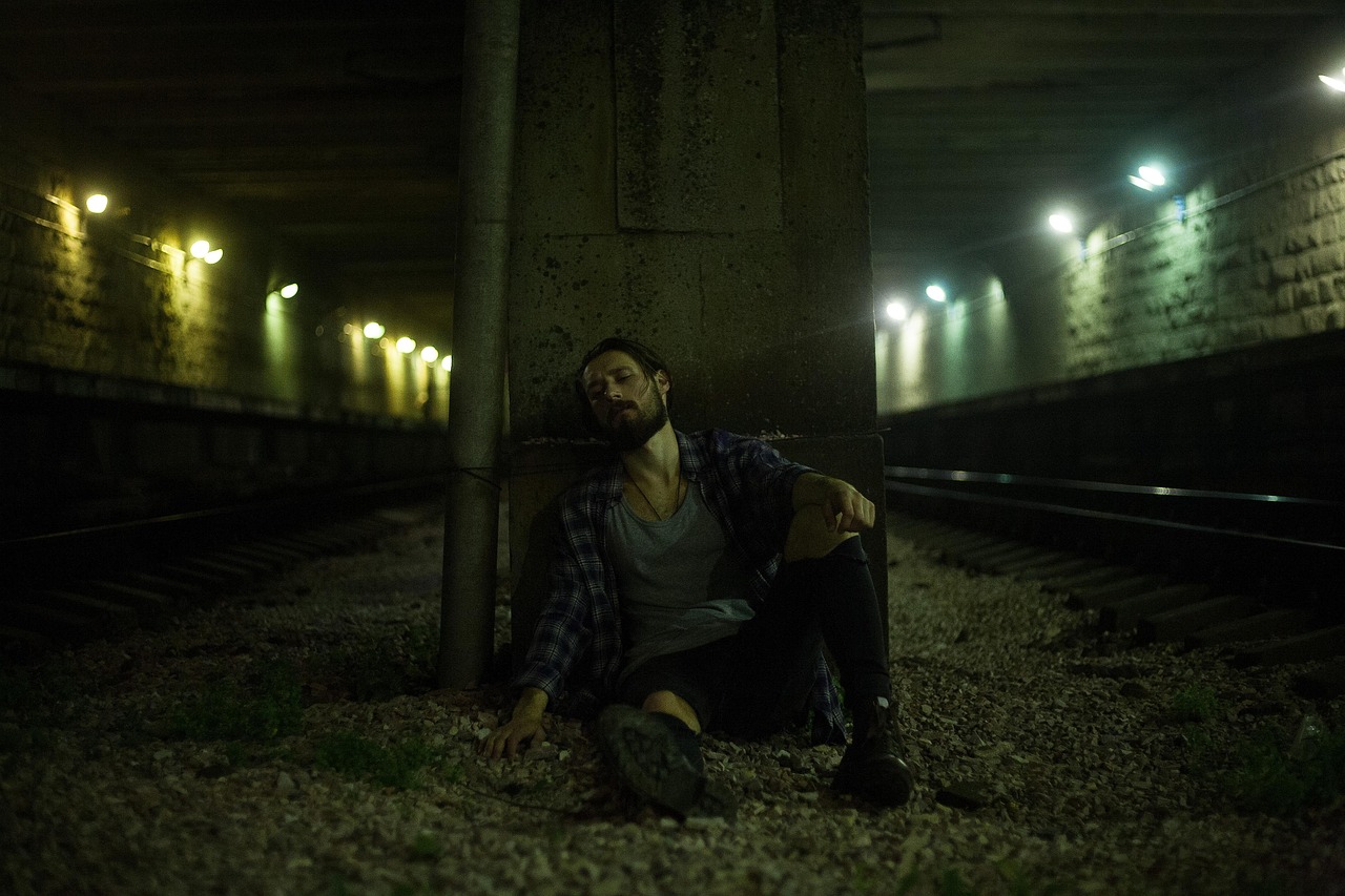 免费观看成年人电影,文化现象的多角度解读与探索