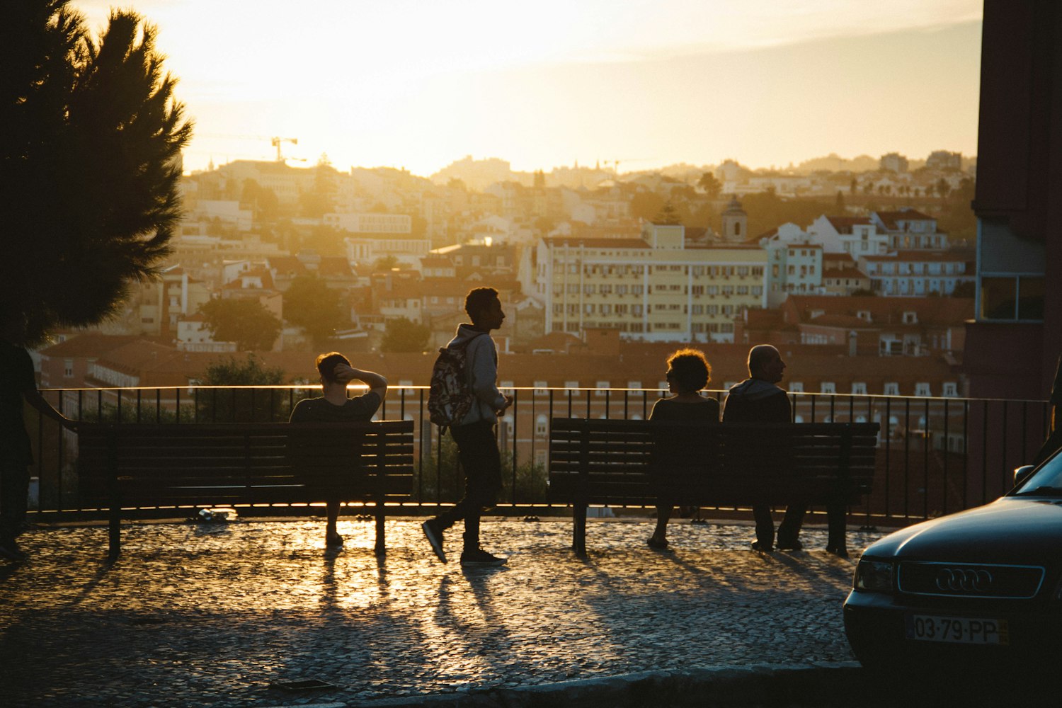 免费观看成年人电影,文化现象的多角度解读与探索