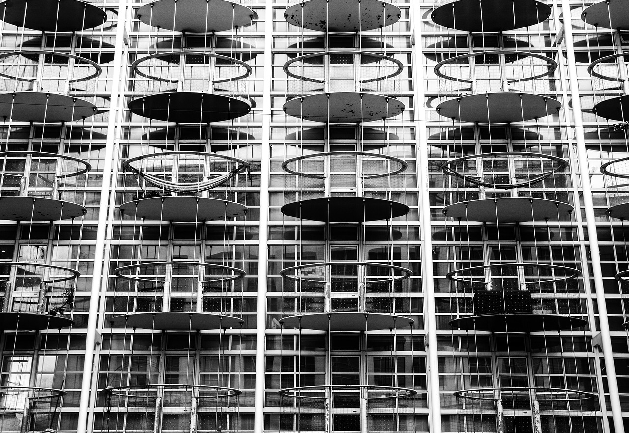 卫生纸市场趋势深度解析,行情分析、影响因素与未来展望