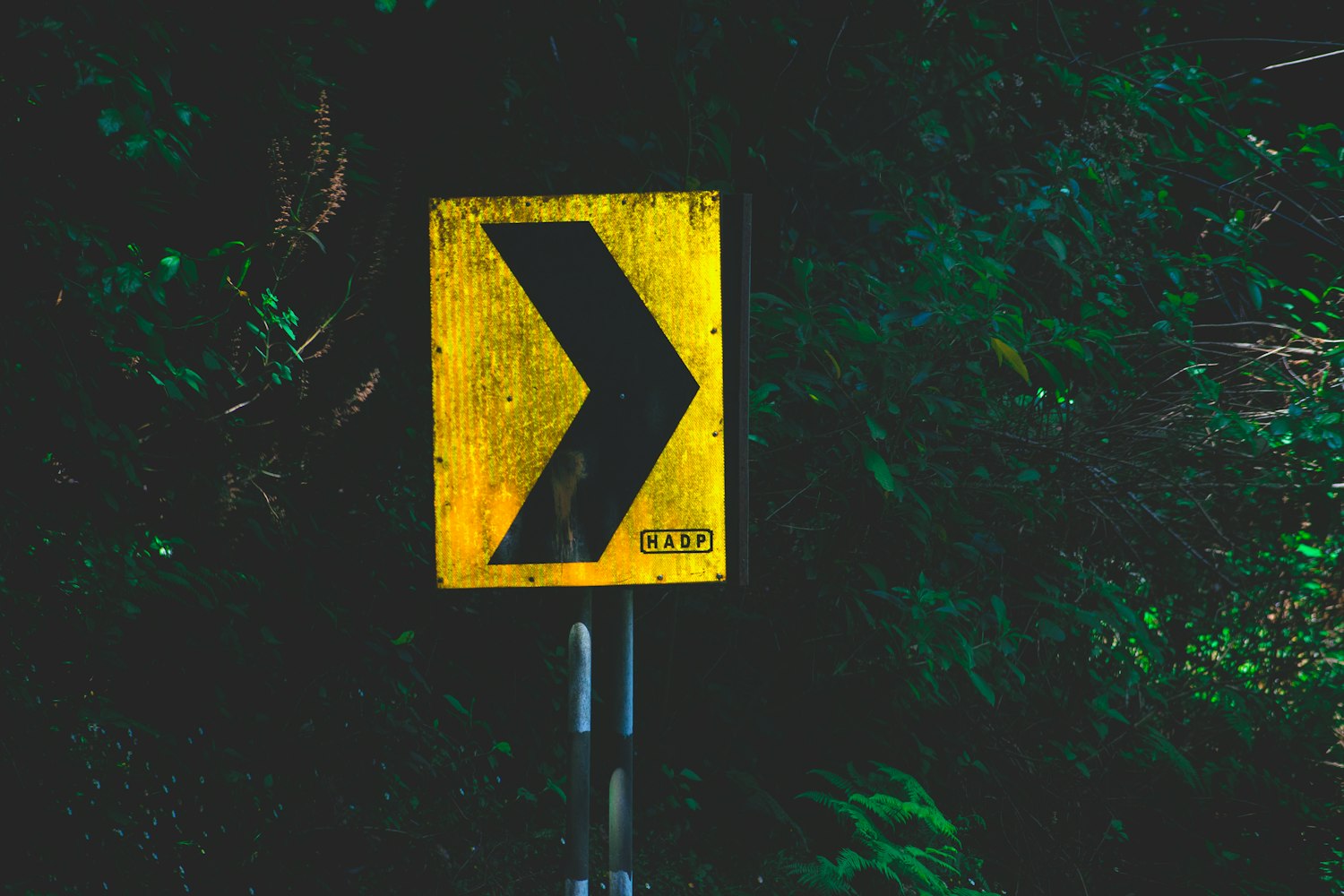 探索2828免费电影的无限魅力之旅